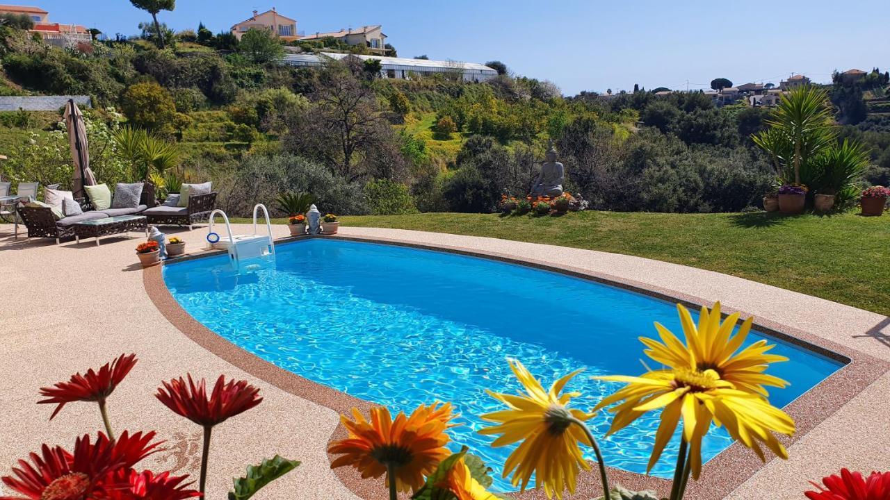 Studio-Mezzanine Dans Villa Cagnes-sur-Mer Exterior foto